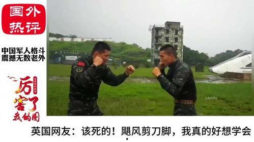国产电影军人格斗视频,国产电影中的军人格斗传奇