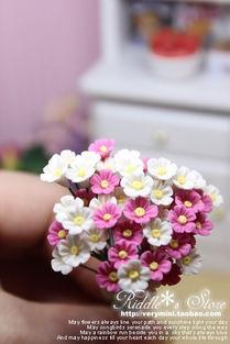 国产小雏菊在线视频,绽放青春的校园爱情故事