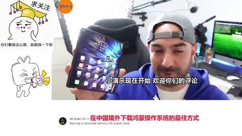 外国人看国产系统视频,创新与挑战的交织之旅