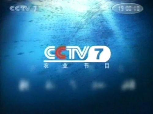 国产鞋品牌故事视频,国产鞋品牌的传奇故事