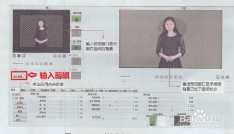 插老师的视频国产,插老师视频中的绿色智慧与实践探索