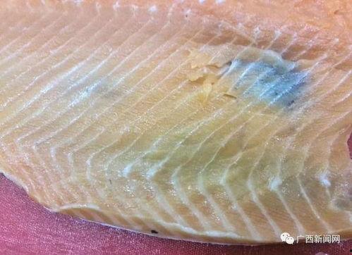 揭秘国产鲑鱼视频在线播放,视频带你探秘养殖全过程