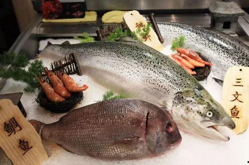 揭秘国产鲑鱼视频在线播放,视频带你探秘养殖全过程