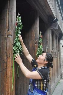 艾草国产成年视频,探寻传统与现代的交融之美