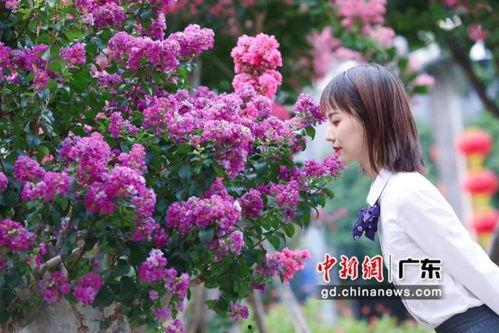 国产网红紫薇视频在线看  第3张