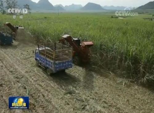 国产小农机视频大全网站,全方位展示农业现代化新风采